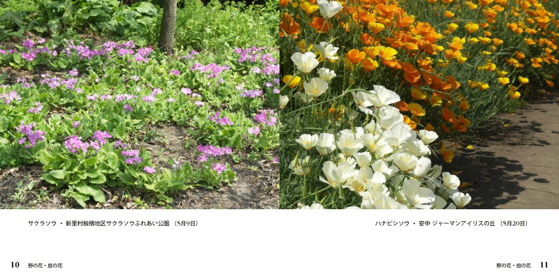 フォトブック 10ページ目