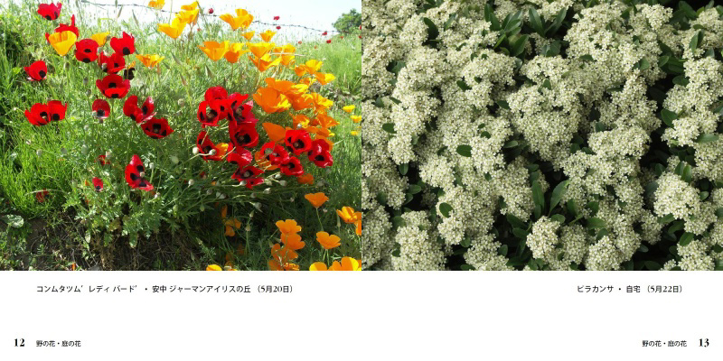フォトブック 12ページ目