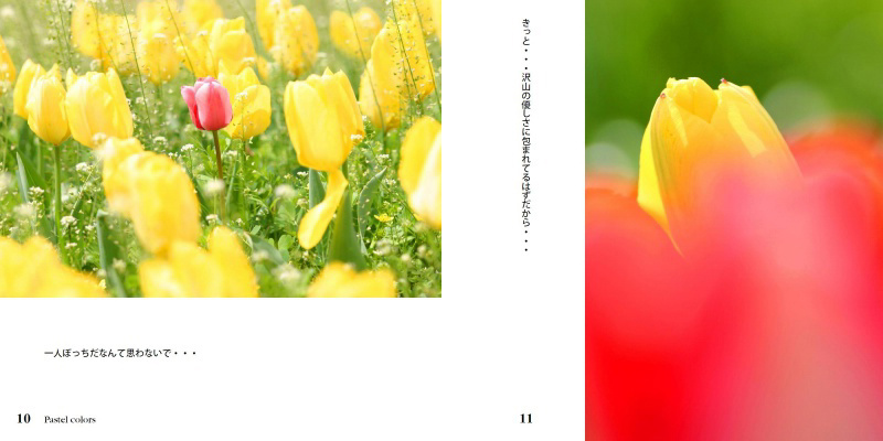 フォトブック 10ページ目
