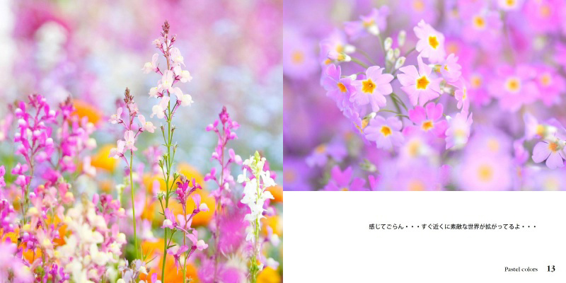 フォトブック 12ページ目