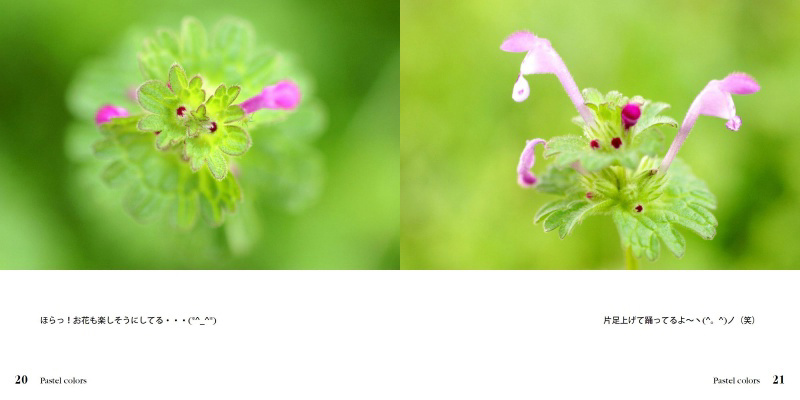 フォトブック 20ページ目