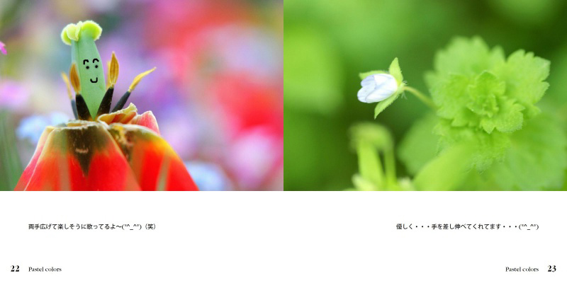 フォトブック 22ページ目