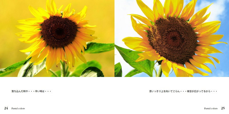 フォトブック 24ページ目