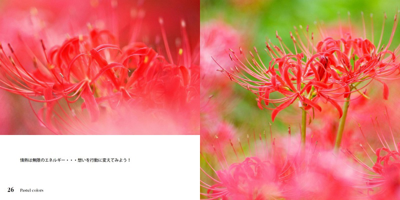 フォトブック 26ページ目