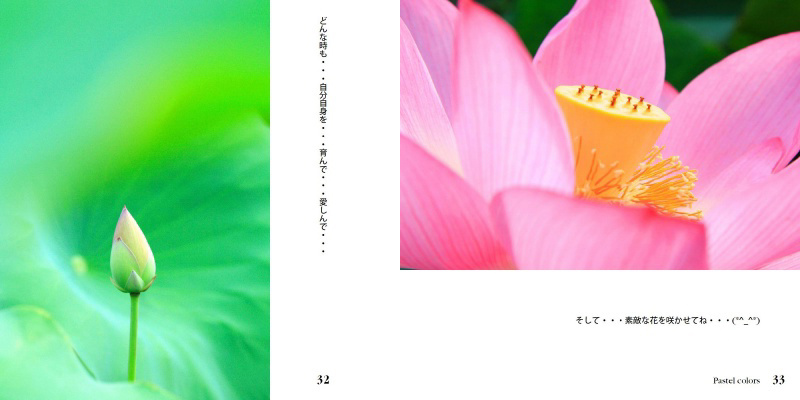フォトブック 32ページ目