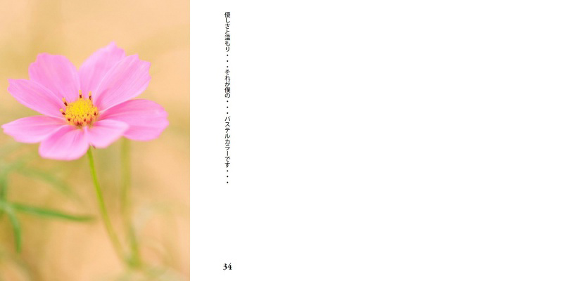 フォトブック 34ページ目