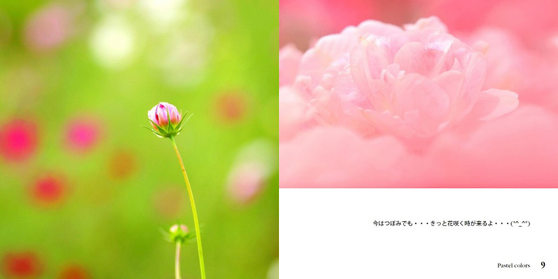 フォトブック 8ページ目