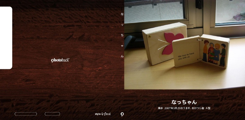 フォトブック ジャケット