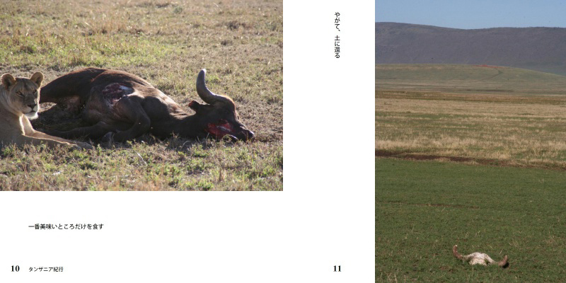 フォトブック 10ページ目