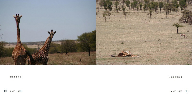 フォトブック 12ページ目