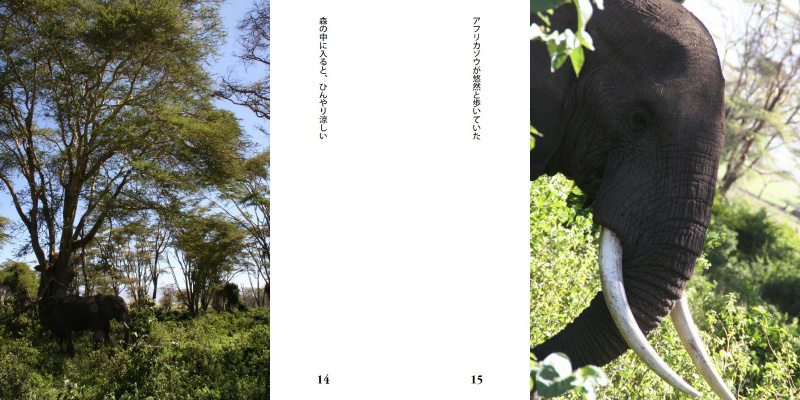 フォトブック 14ページ目