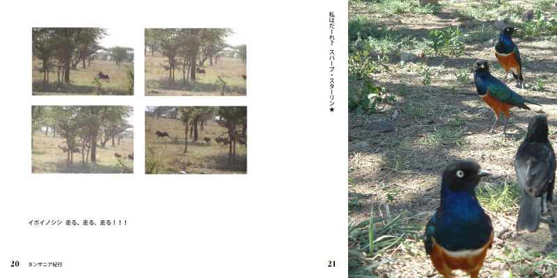 フォトブック 20ページ目