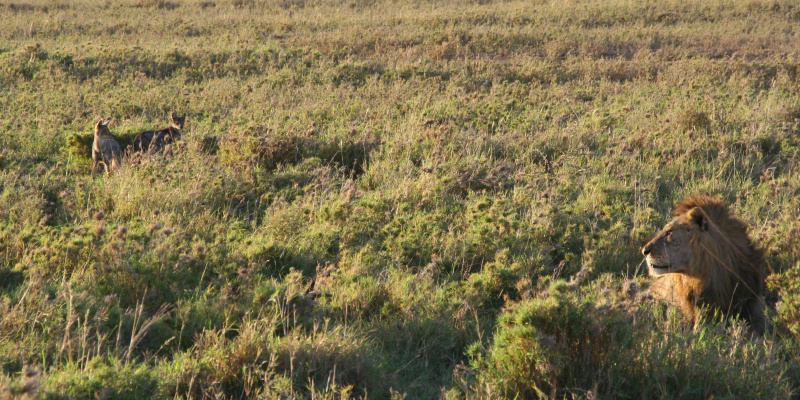 フォトブック 24ページ目