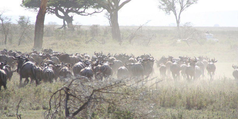 フォトブック 26ページ目