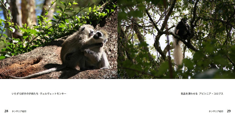 フォトブック 28ページ目