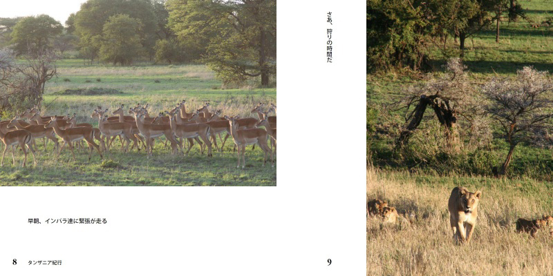 フォトブック 8ページ目