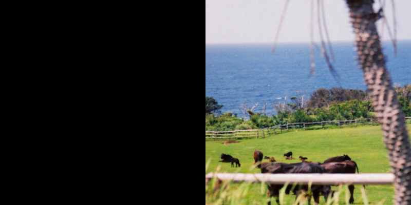 フォトブック 10ページ目