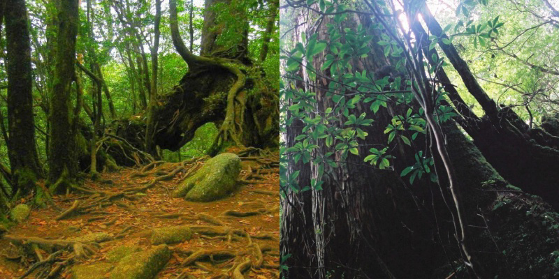 フォトブック 12ページ目