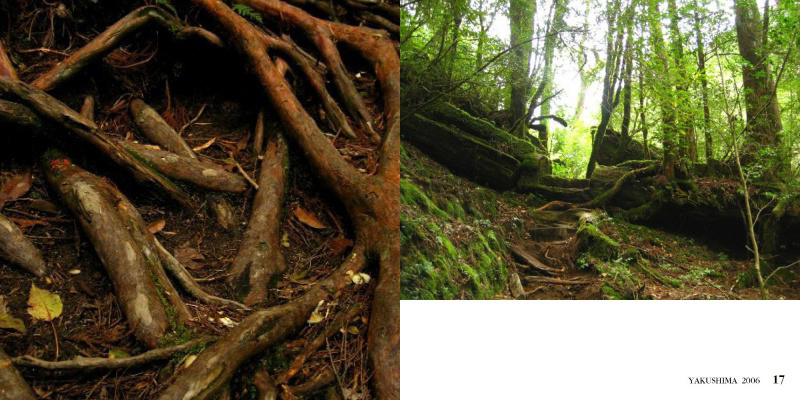 フォトブック 16ページ目