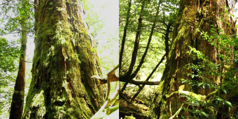 フォトブック 18ページ目