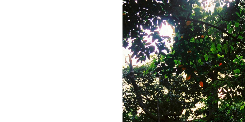 フォトブック 2ページ目