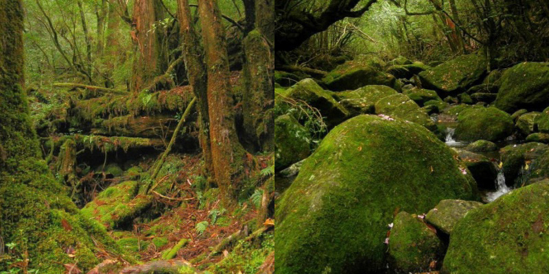 フォトブック 22ページ目