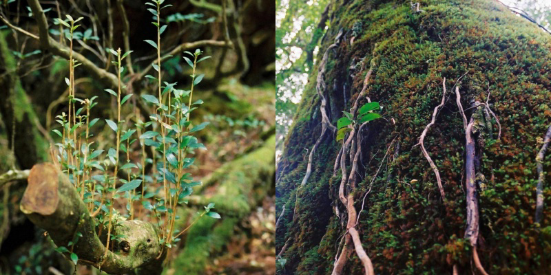 フォトブック 24ページ目