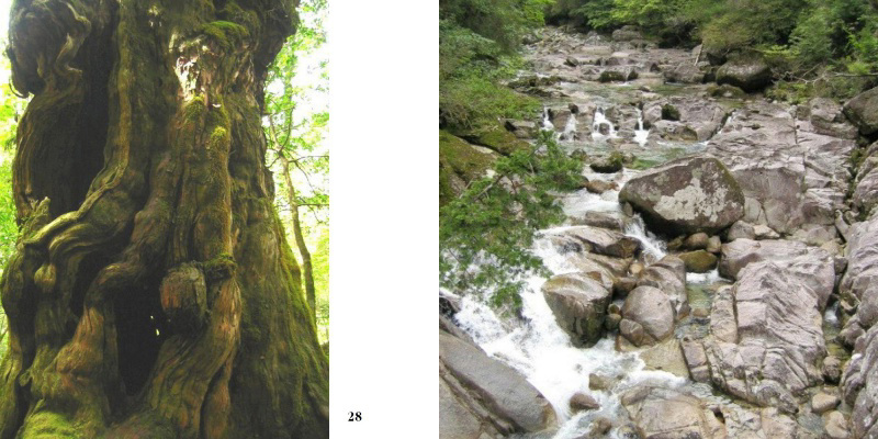 フォトブック 28ページ目