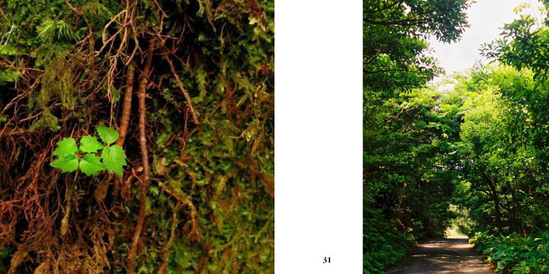 フォトブック 30ページ目