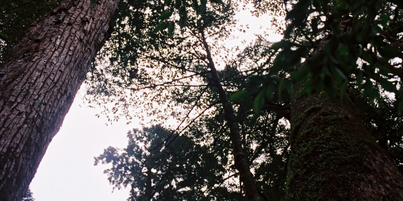 フォトブック 32ページ目