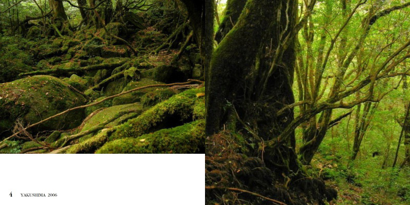 フォトブック 4ページ目