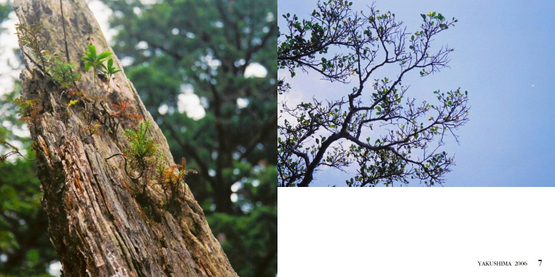 フォトブック 6ページ目