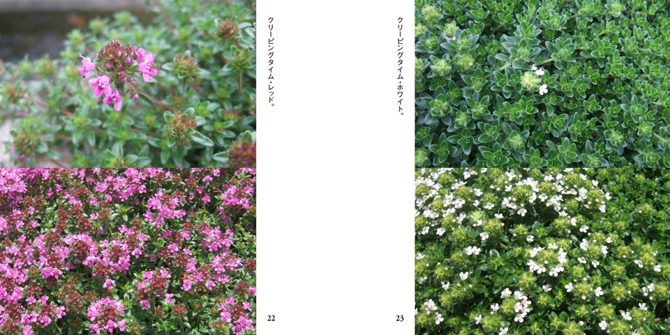 フォトブック 22ページ目