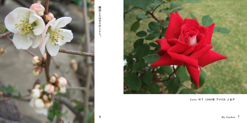 フォトブック 6ページ目