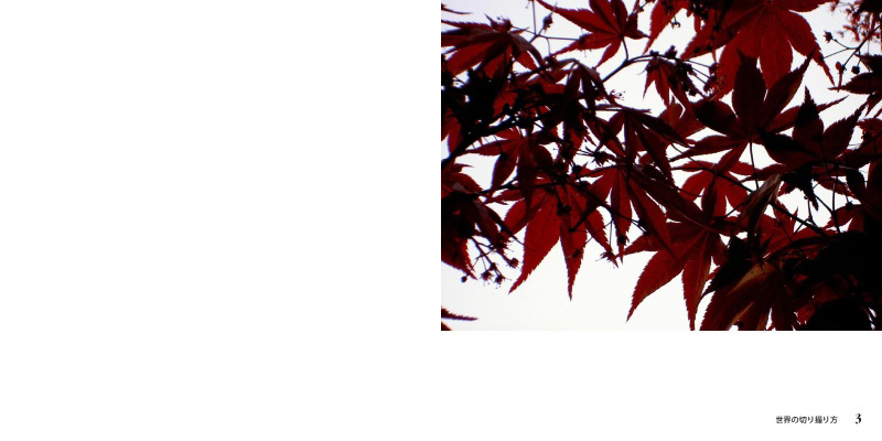 フォトブック 2ページ目
