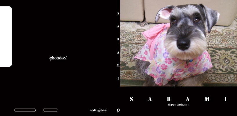 フォトブック ジャケット