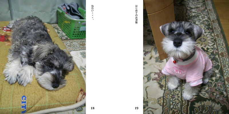 フォトブック 18ページ目