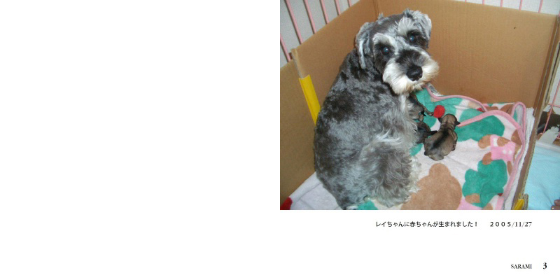 フォトブック 2ページ目
