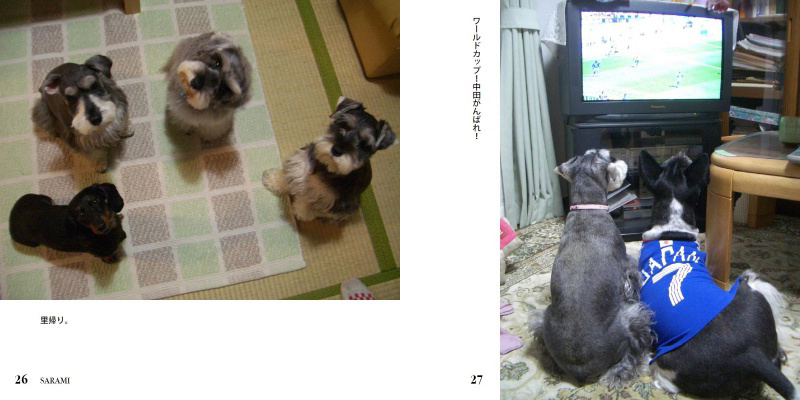フォトブック 26ページ目