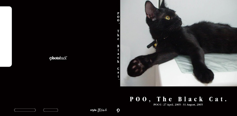 フォトブック ジャケット