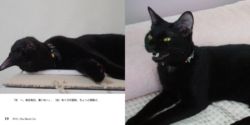 フォトブック 10ページ目