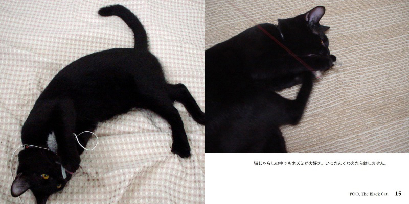 フォトブック 14ページ目