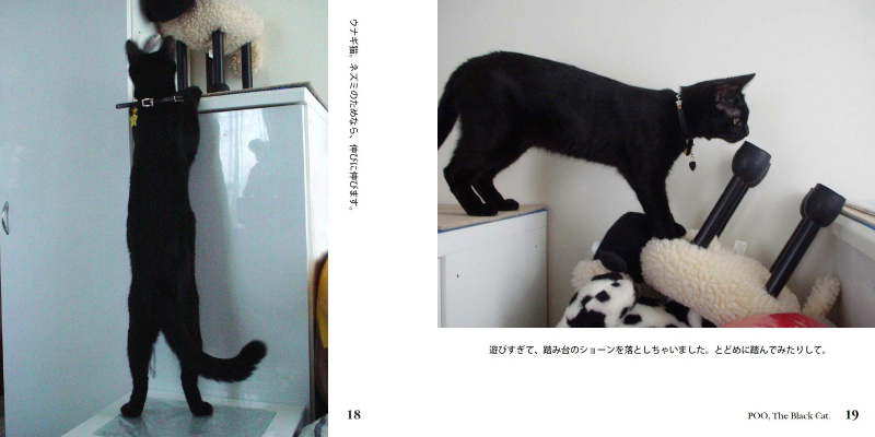 フォトブック 18ページ目