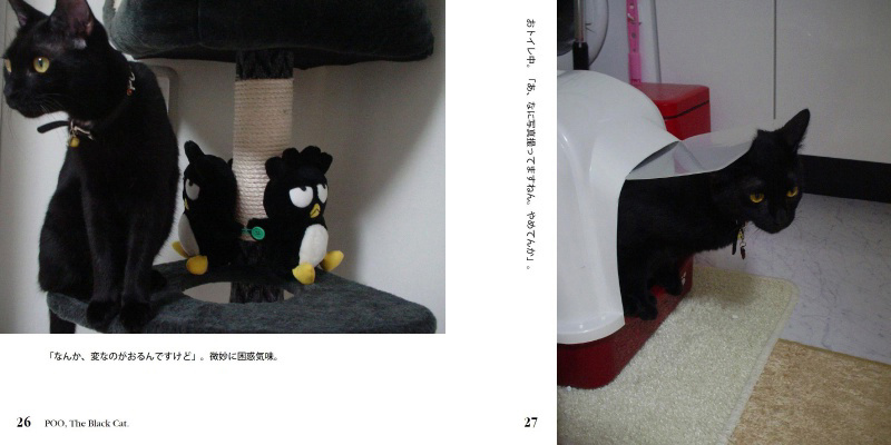 フォトブック 26ページ目