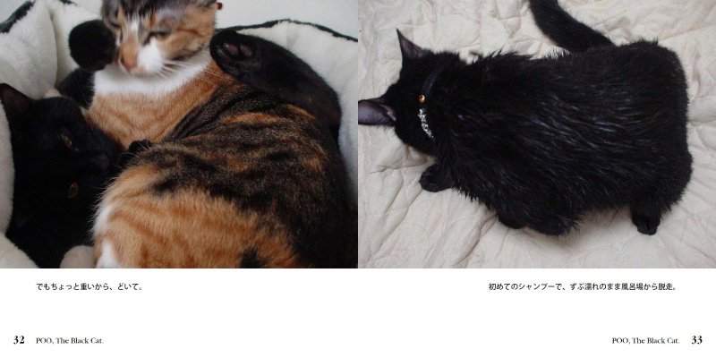 フォトブック 32ページ目