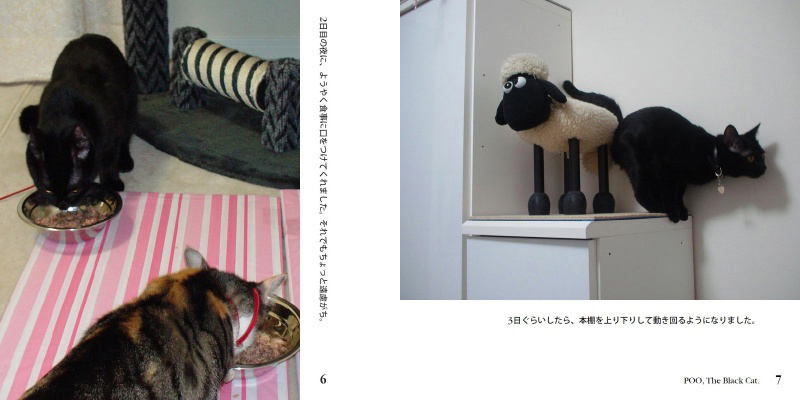 フォトブック 6ページ目