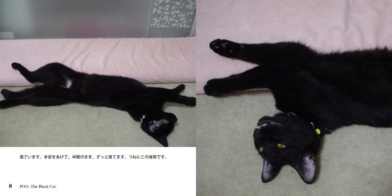 フォトブック 8ページ目