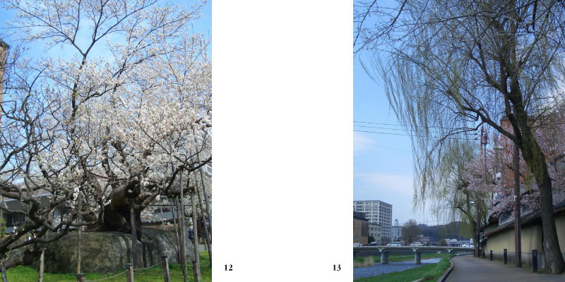 フォトブック 12ページ目