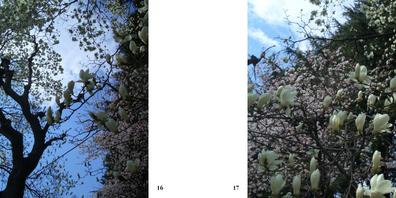 フォトブック 16ページ目