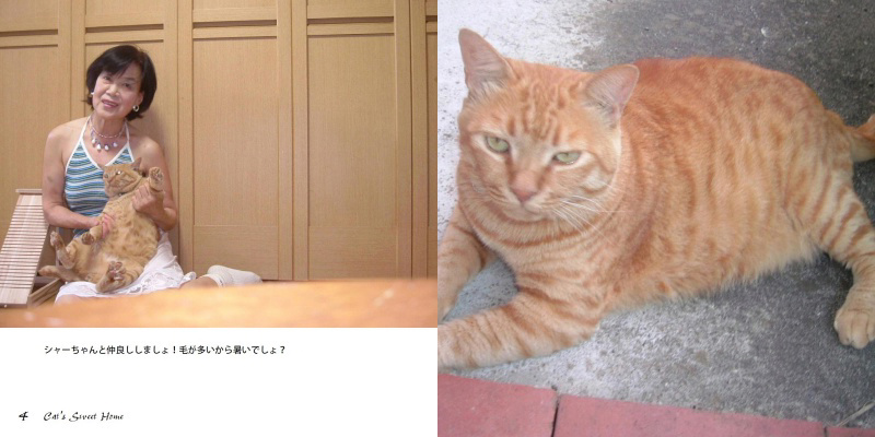 フォトブック 4ページ目